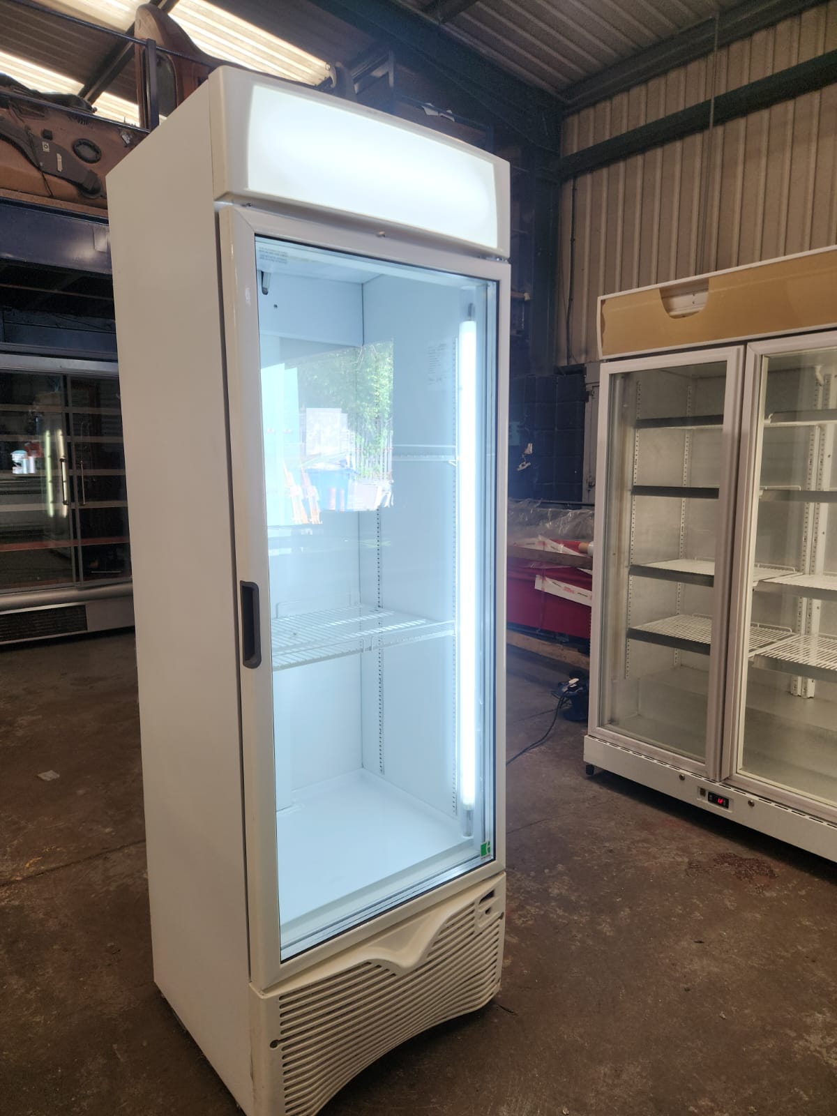 Mondial EXPO 500 PT — Commercial Display Drinks Fridge 353L